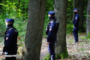 policjanci stoją w lesie między drzewami