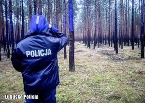 Policjant stoi tyłem do zdjęcia. Rozgląda się w lesie.